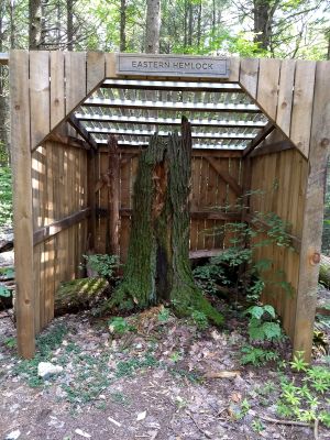 hemlockmemorialshed2