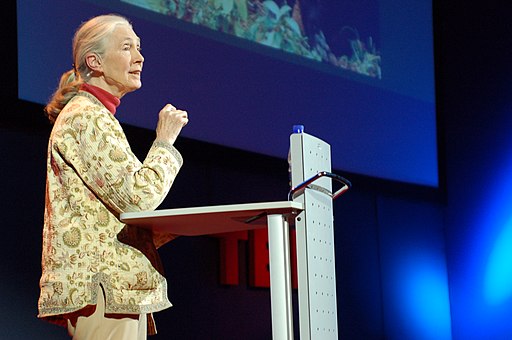 Jane Goodall at a podium